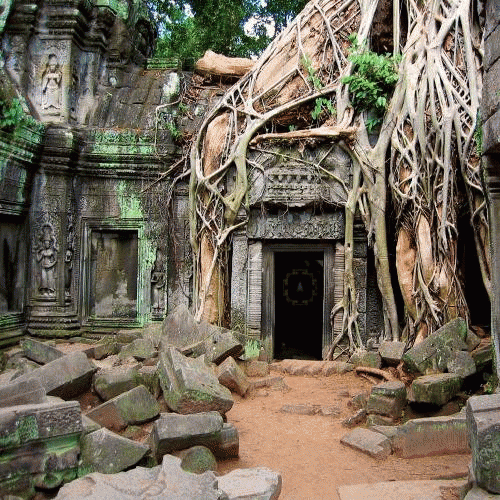 Nibiru (ITA) : Netrayoni